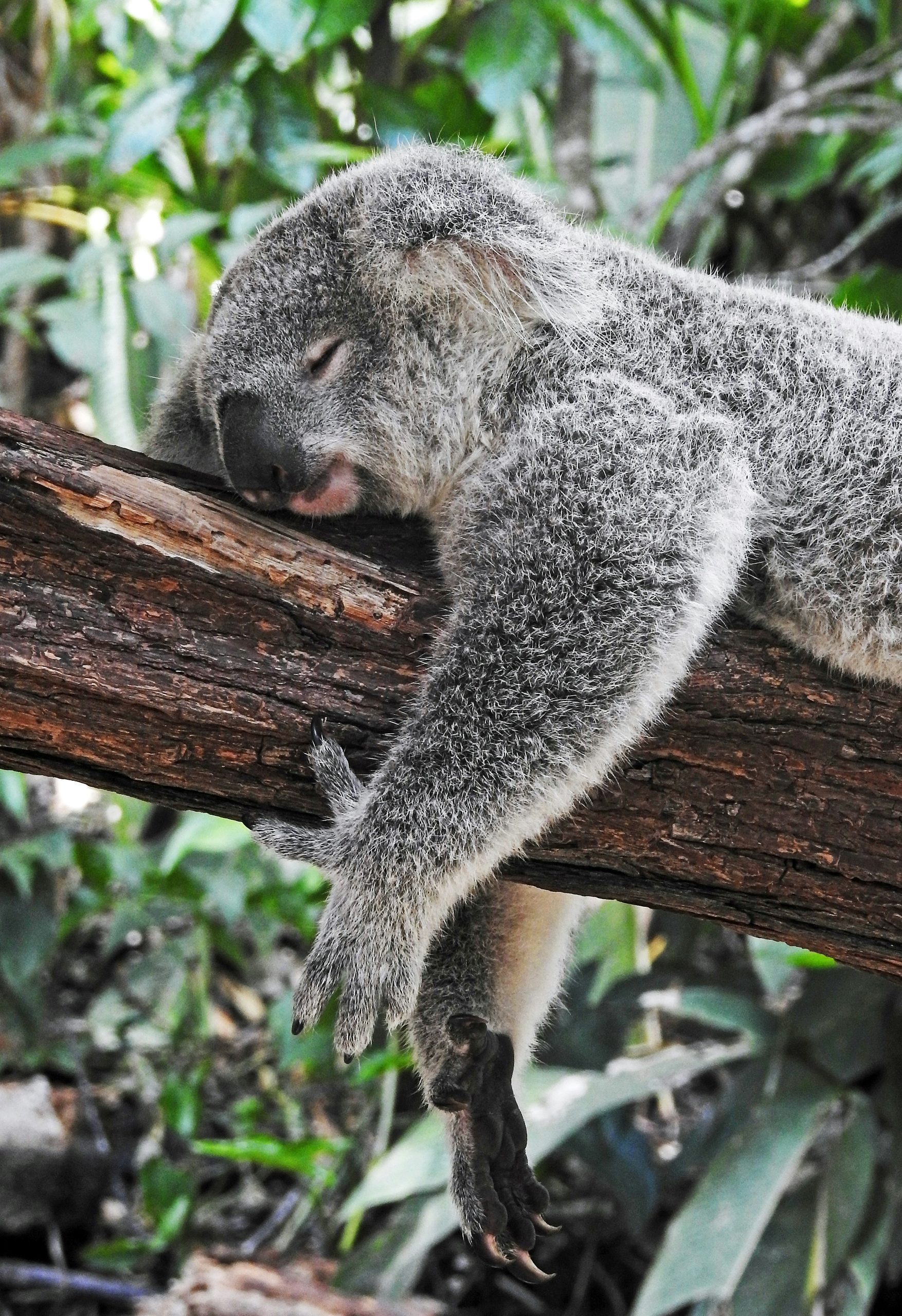 How to Sleep Well