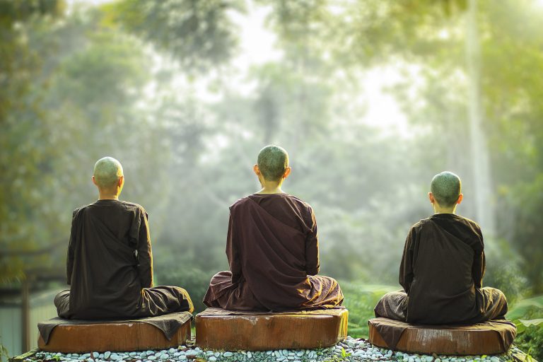 Three meditating monks facing away in a forest