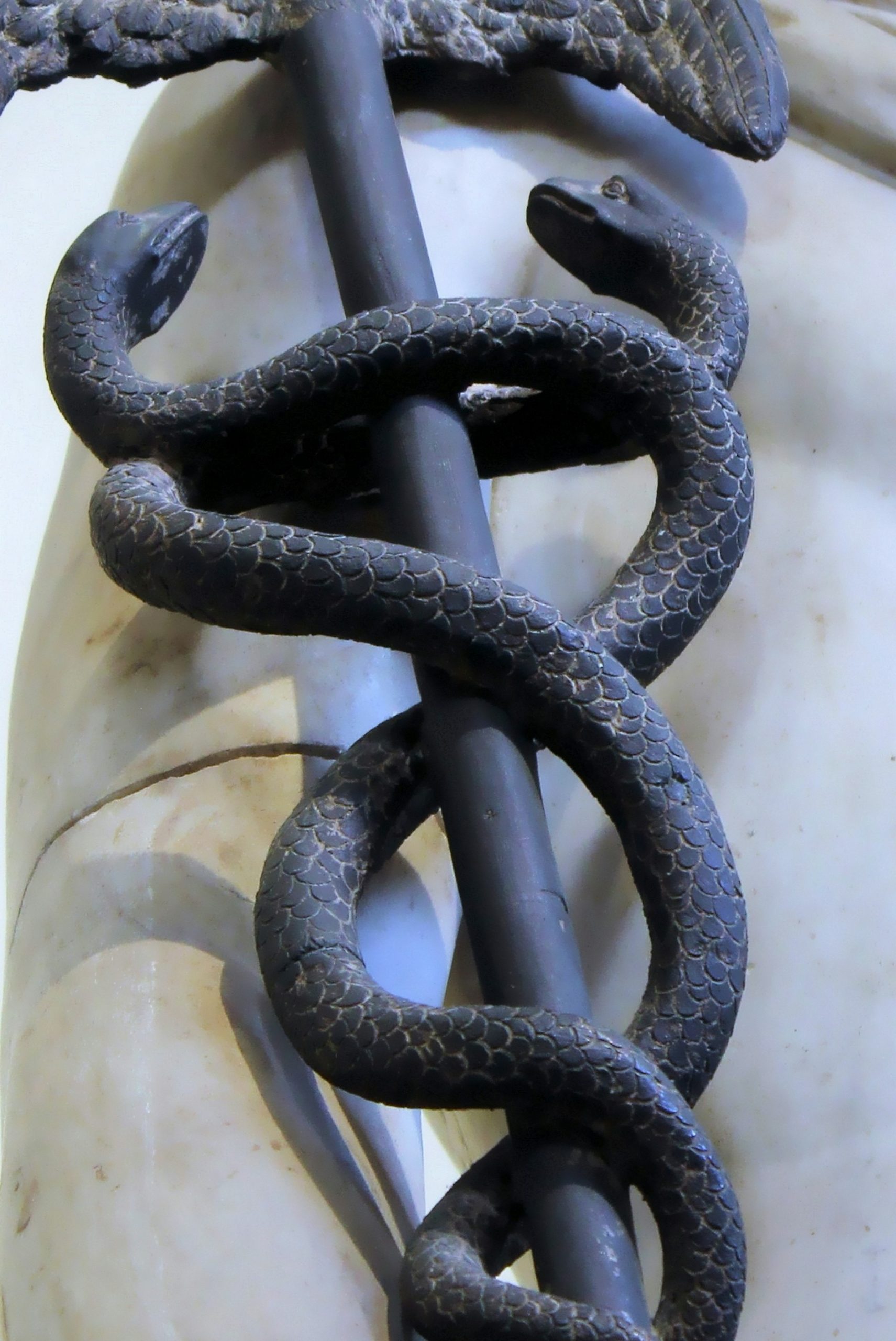 Serpents winding vertically around a central line, symbolising kundalini and Traditions of Spiritual Growth
