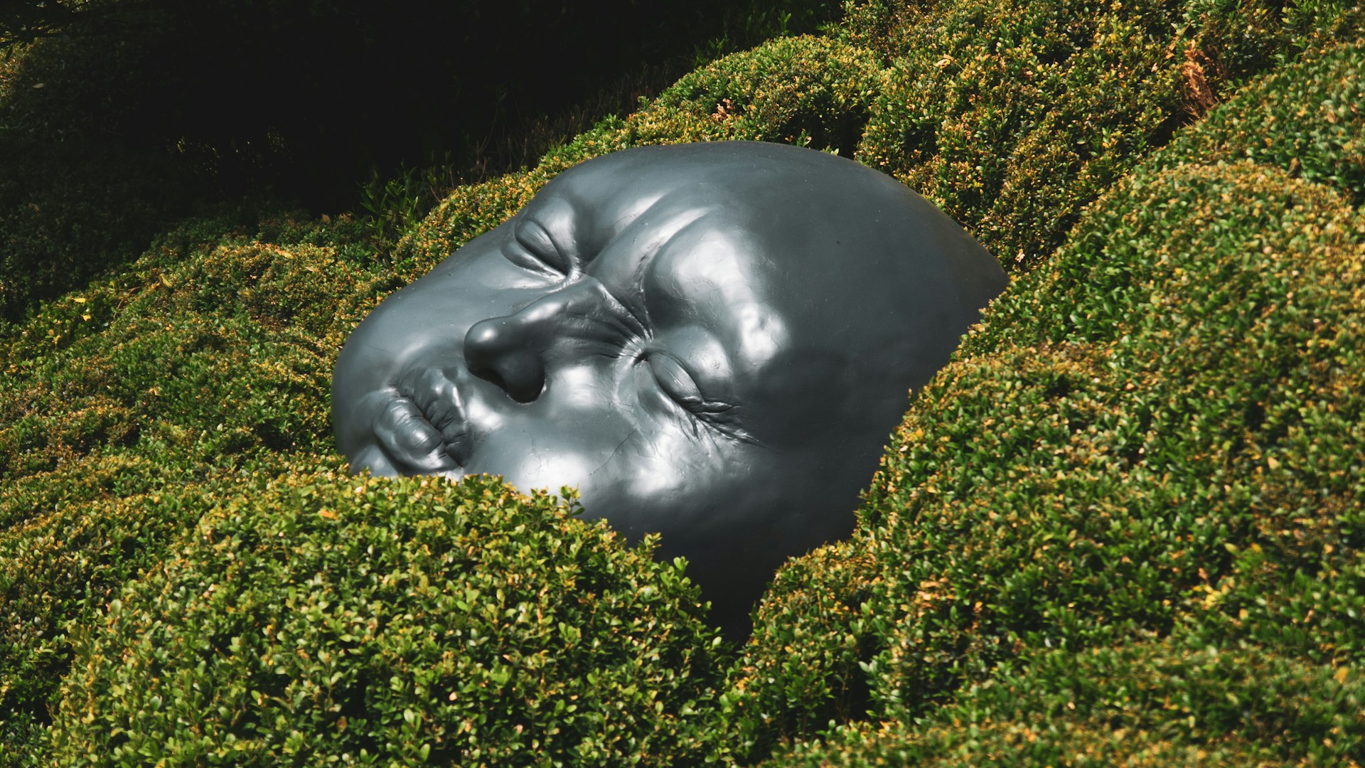 A statue head nestled safely among protective bushes, representing spiritual grounding