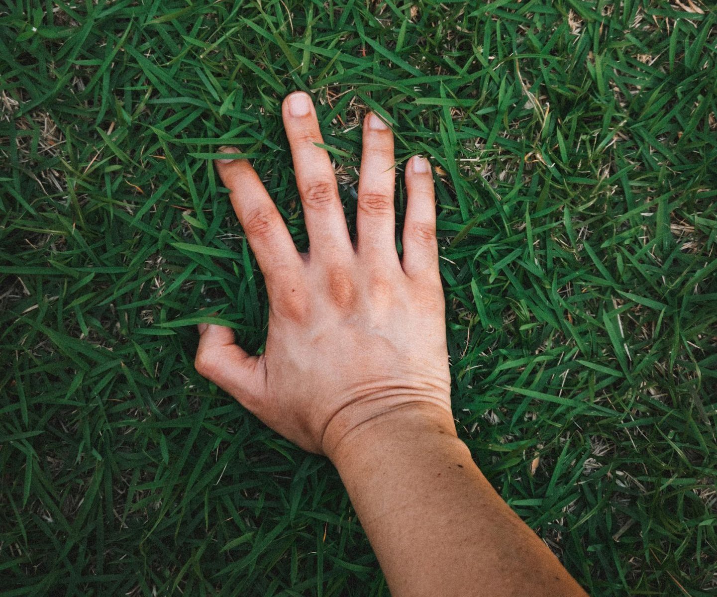 Person touching grass with hand open, symbolising therapeutic spiritual grounding